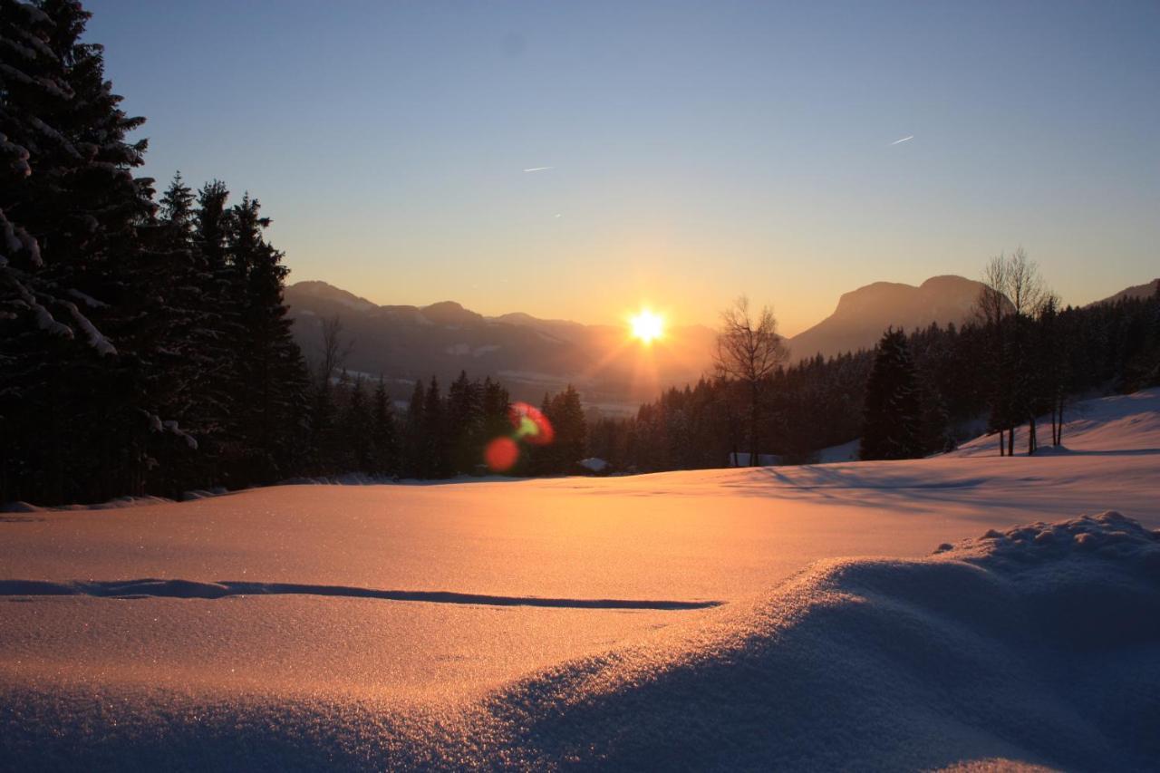 Boutique-Pension Jaegerwirt Scheffau am Wilden Kaiser Esterno foto
